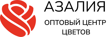 Азалия оптовый центр цветов Азалия оптовый центр цветов