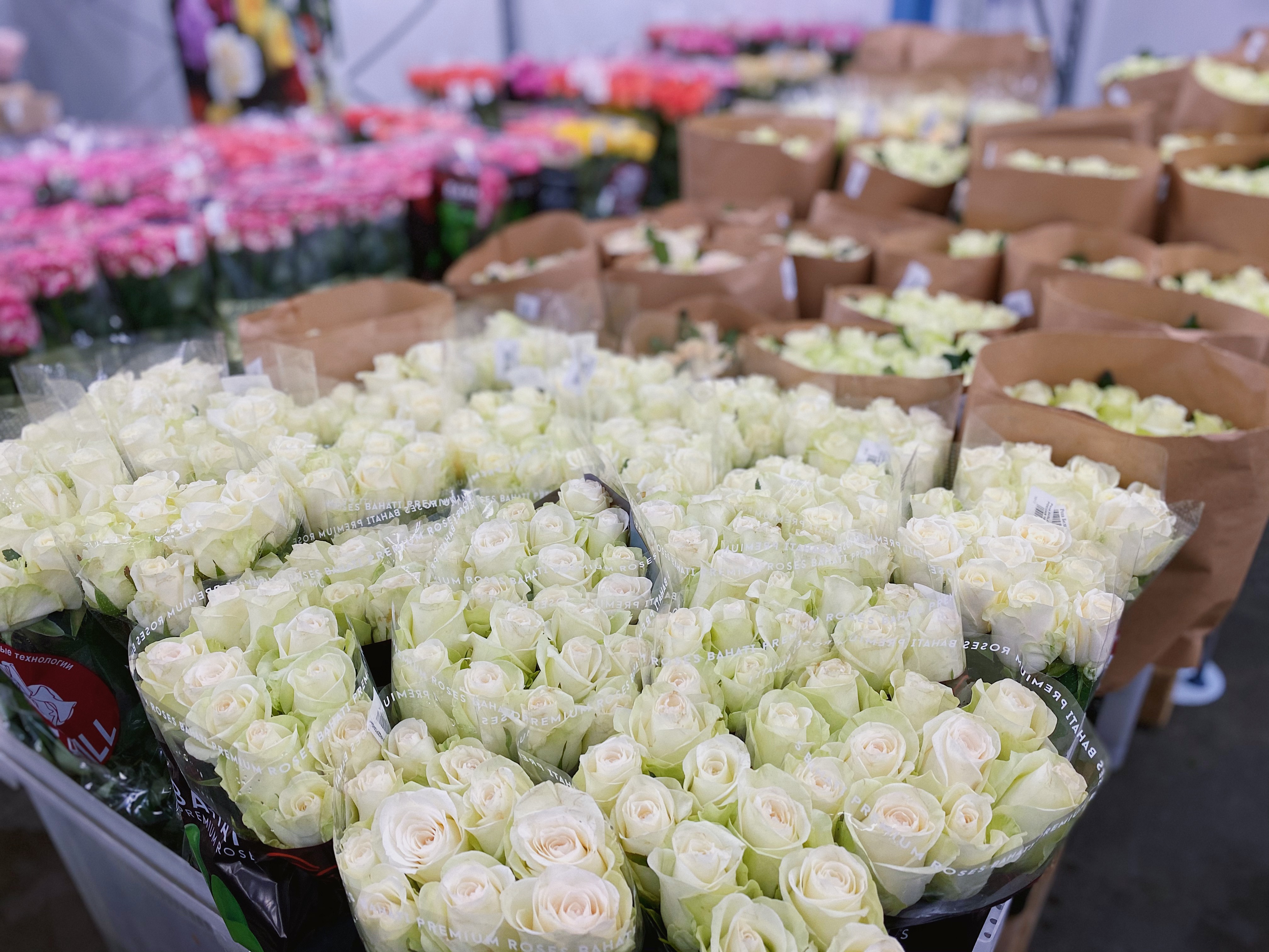 Оптовые цветы в москве цены г ульяновск доставка цветов